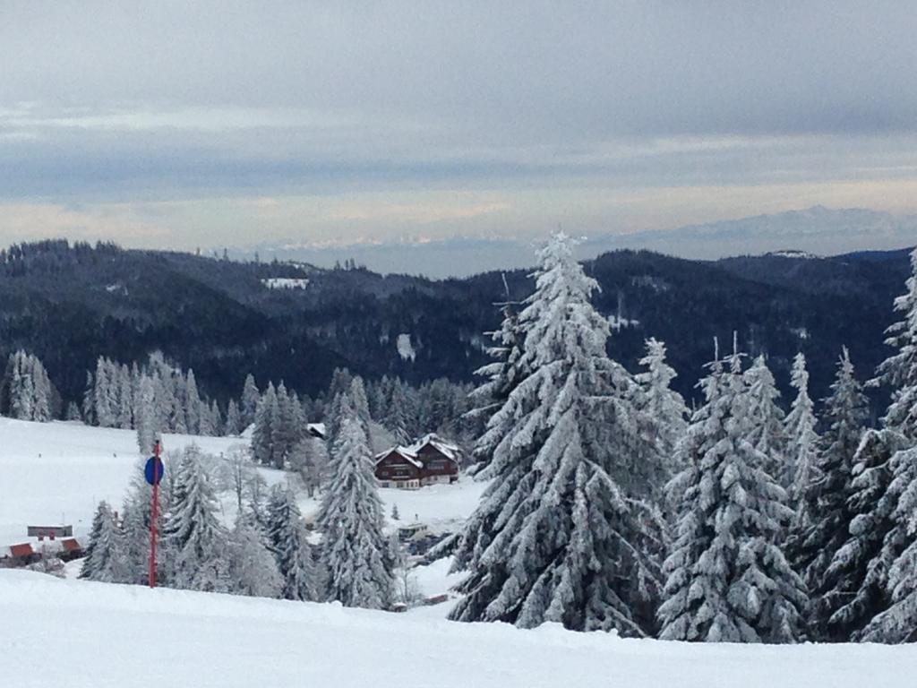 Pop-Up Stuub Feldberg Hotel Feldberg  Exterior photo